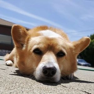 Meet your Posher, Tiffany